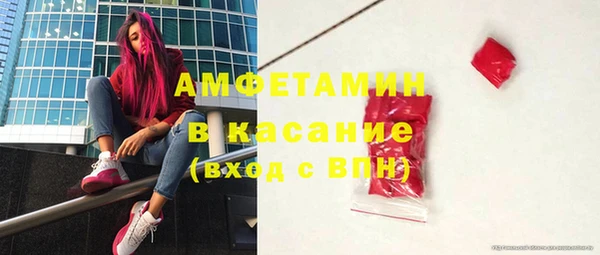 прущие грибы Михайловск