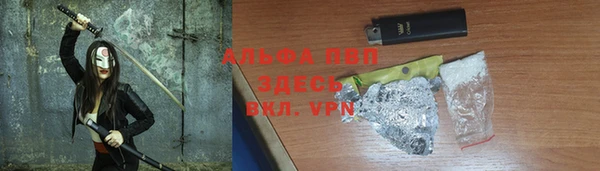 прущие грибы Михайловск