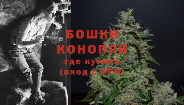 прущие грибы Михайловск