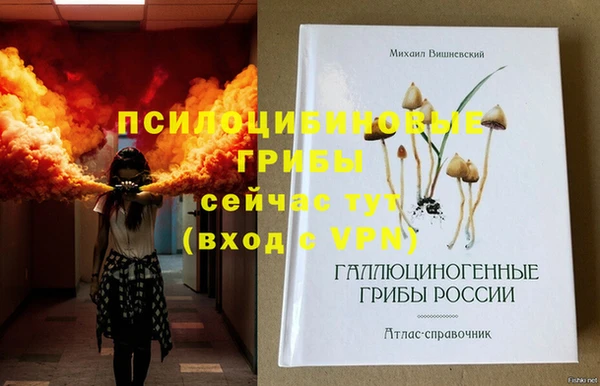 прущие грибы Михайловск