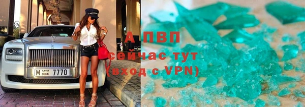 прущие грибы Михайловск