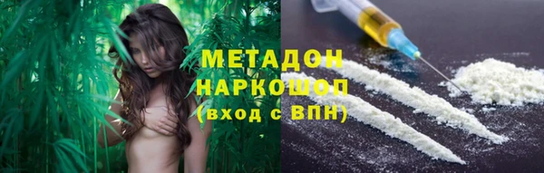 прущие грибы Михайловск