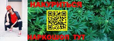 гидра Заводоуковск