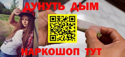 гидра Заводоуковск