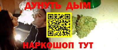 гидра Заводоуковск