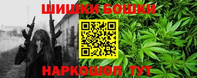 гидра Заводоуковск