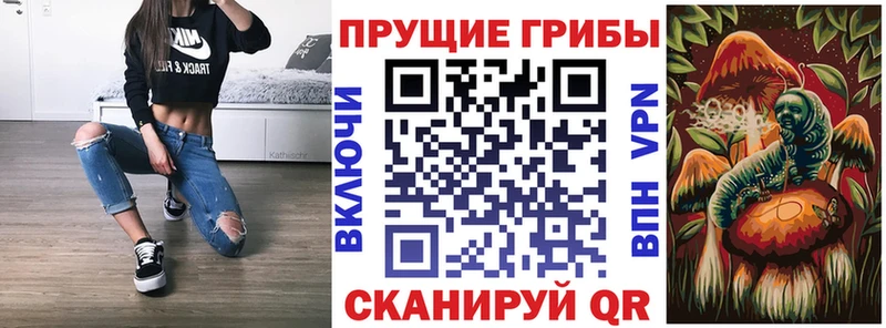 ОМГ ОМГ ONION  Томск  Псилоцибиновые грибы Psilocybine cubensis 