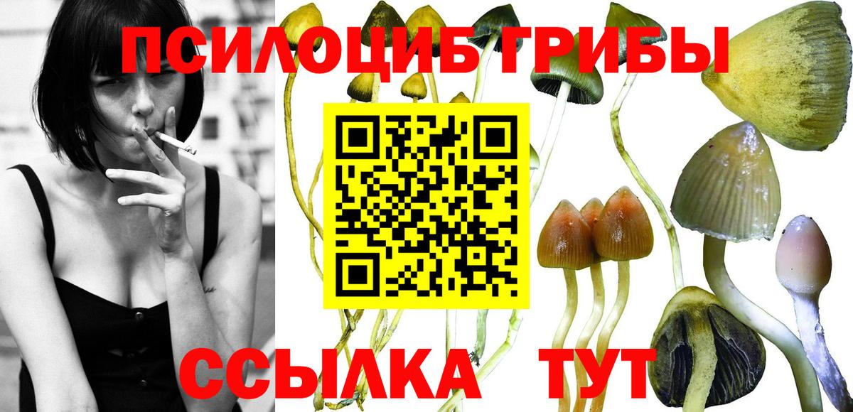 Томск  Галлюциногенные грибы прущие грибы  Галлюциногенные грибы ЛСД  Вход с VPN 