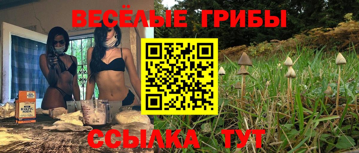 Псилоцибиновые грибы мицелий Томск