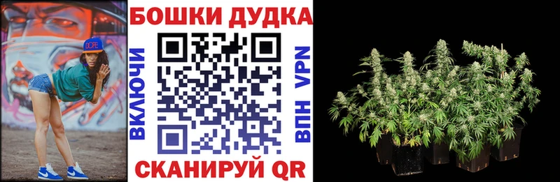 Конопля ГИДРОПОН  Томск 