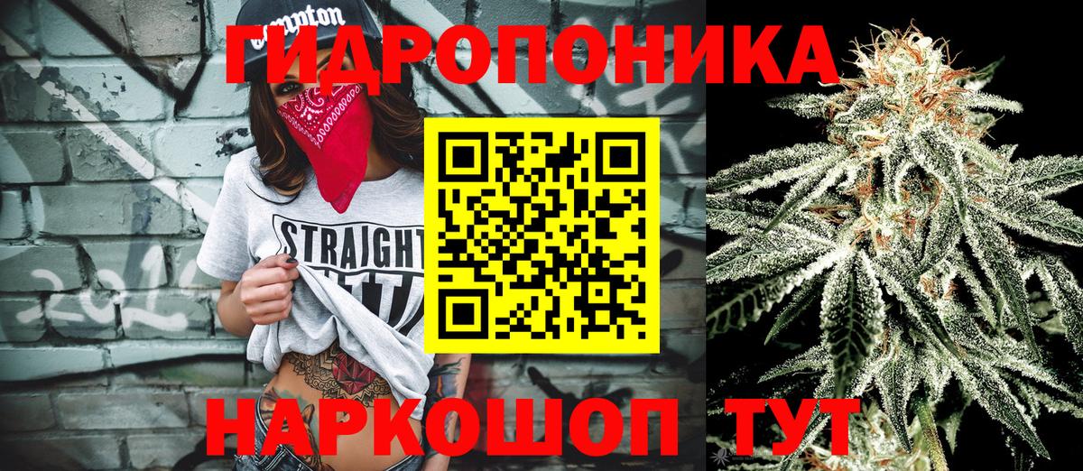 Каннабис OG Kush  Вход с VPN  Марихуана семена  Томск 